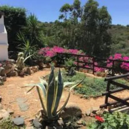 Holiday home Iris - Sea View *